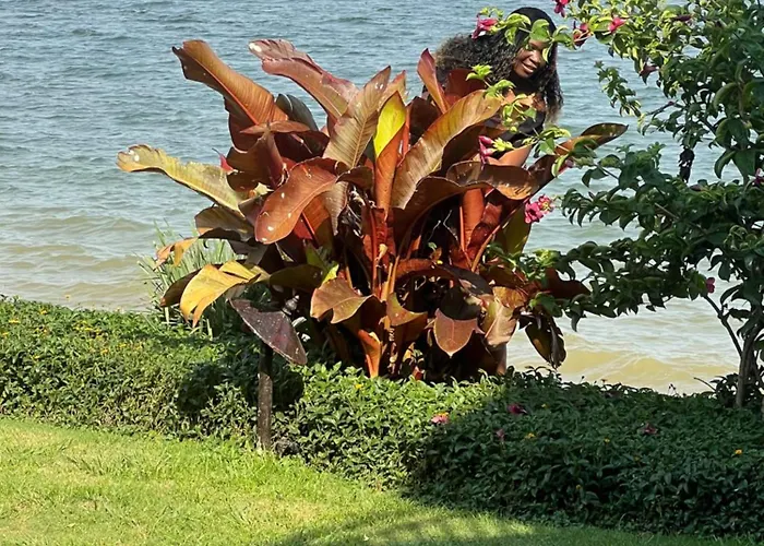 Kaal Village Nest