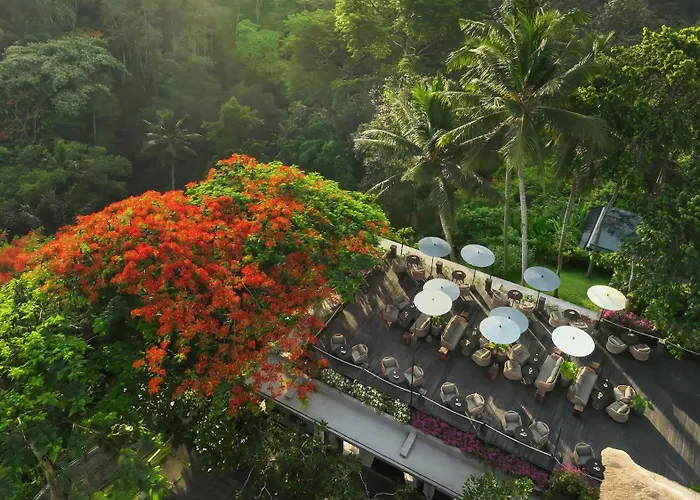  Maya Ubud & Spa