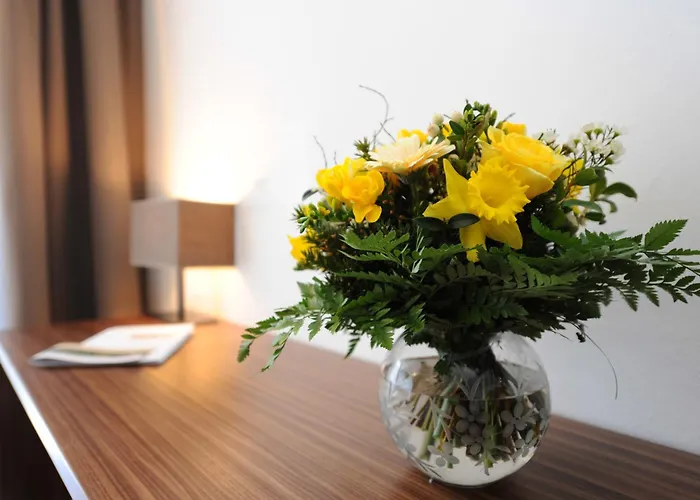 Hotel adatto agli animali: Hotel Vier Jahreszeiten