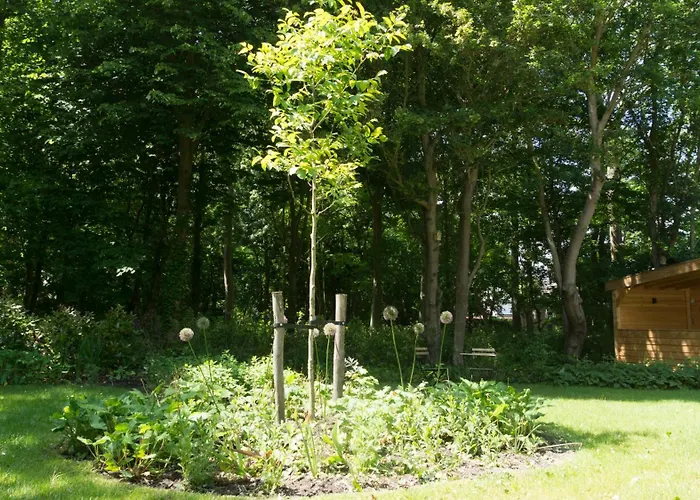 Appartement Zuiderstrand