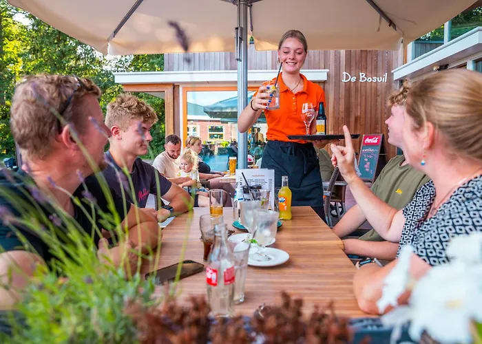 Vakantiepark Witterzomer Assen