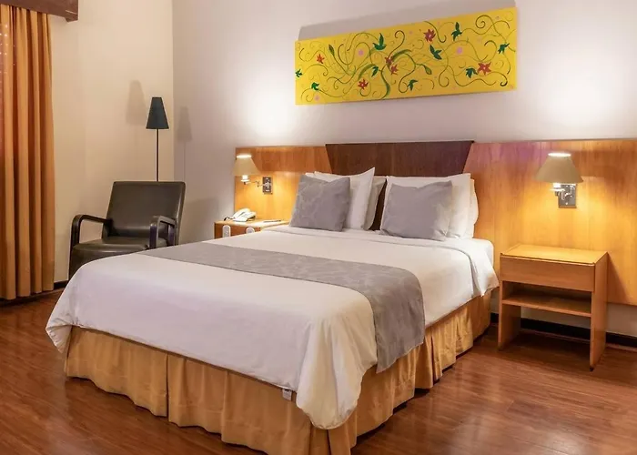 Dexter Hotel - Volta Redonda