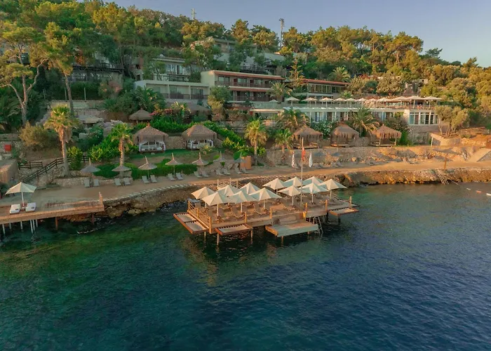 Sarpedor Boutique
