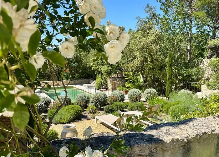 Le Jardin Suspendu