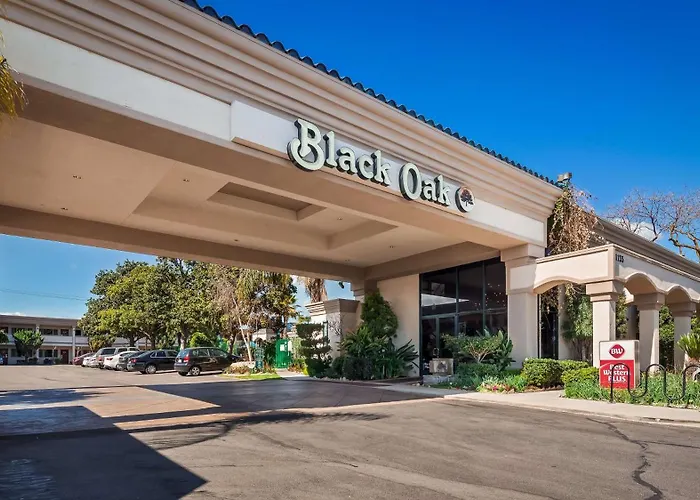 Best Western Plus Black Oak