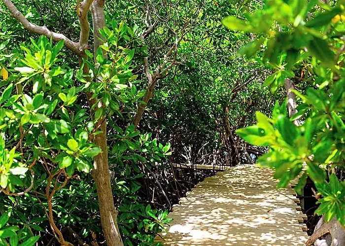 Escape At Nonsuch Bay Antigua (Adults Only)