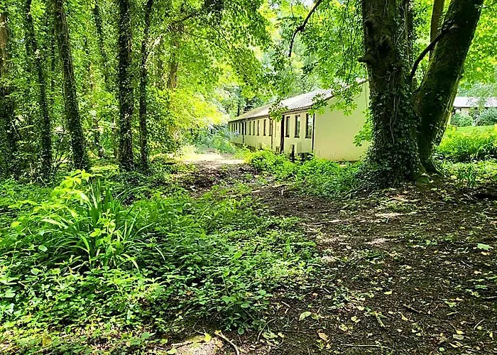 Bumbeldink