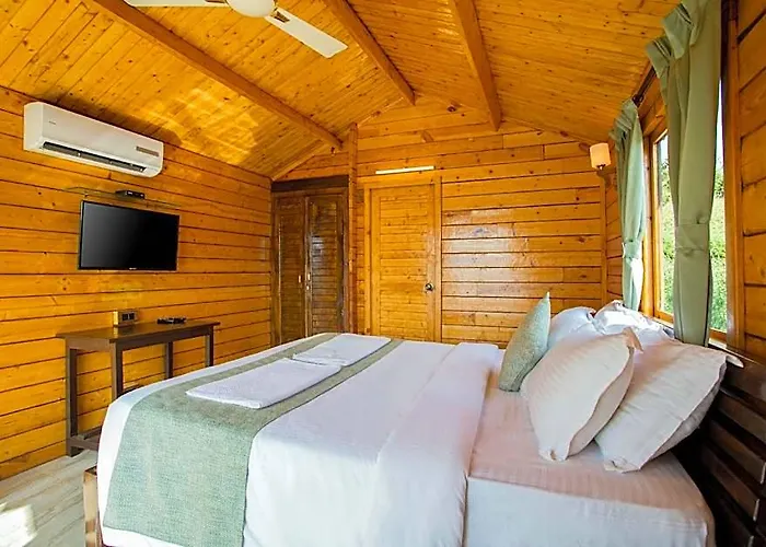 Antares Beach Resort And Club, Vagator Beach