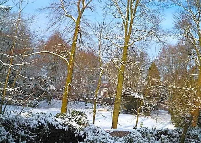 B&B Speelmansrei
