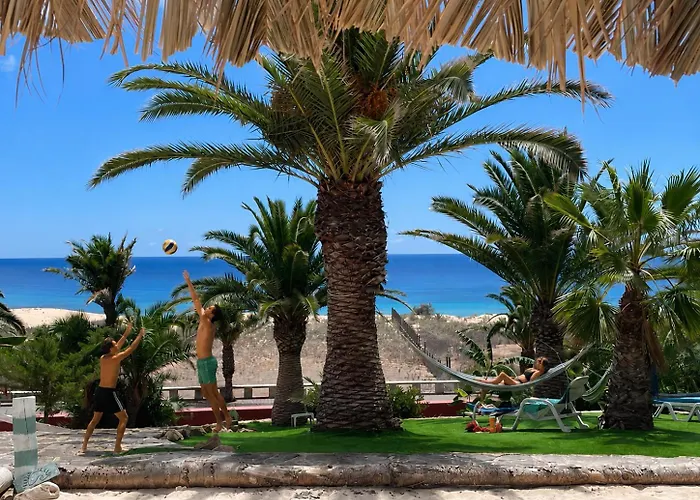 Animaux admis Porto Santo Destination