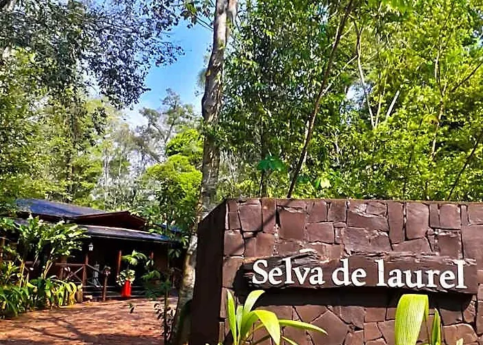  Selva De Laurel