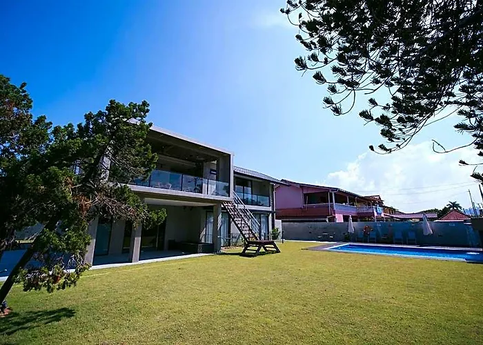 The Colony