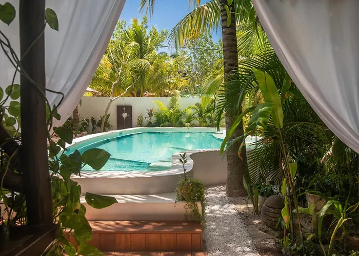 El Corazón Boutique - Adults Only With Beach Club Pass Included