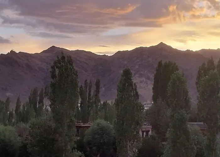 The Grand View Ladakh, Leh