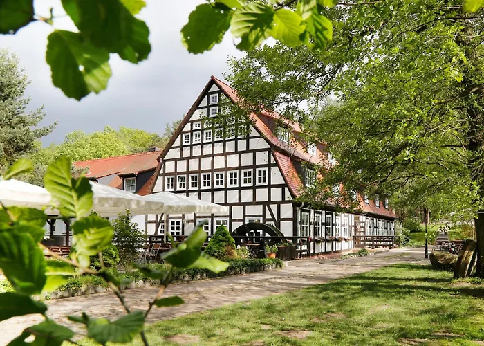 Springbach-Mühle Belzig