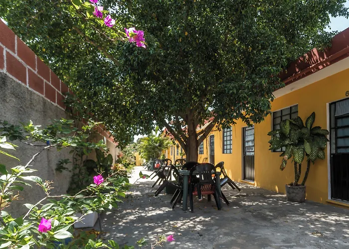 Casa Cuevas&Amaro