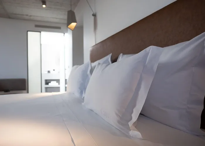Hotel Caju