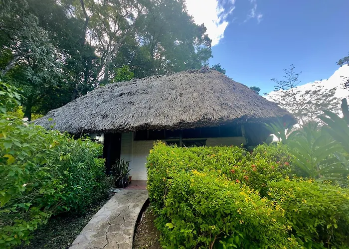 Maya Mountain Lodge