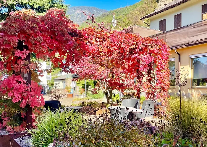 Hotel Garni Gruener Baum
