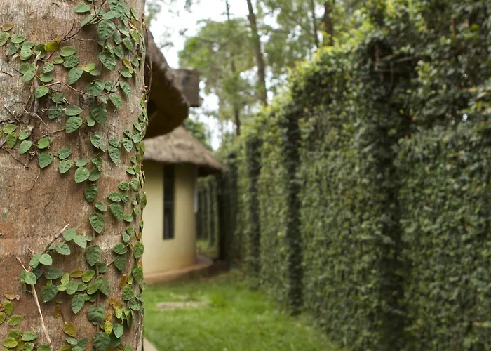Olive Gardens Kampala