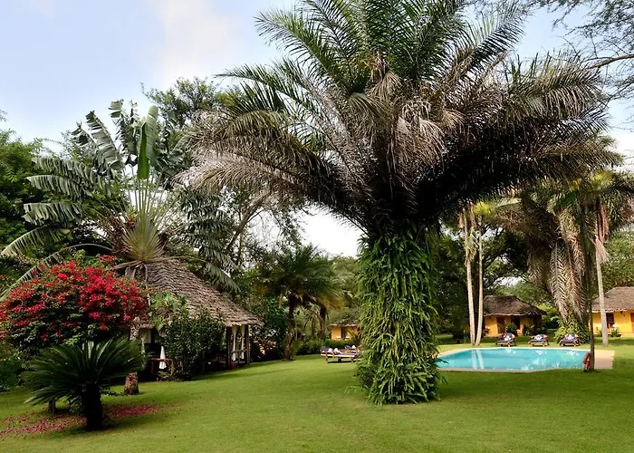 Arusha Safari