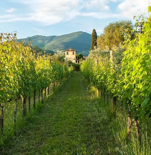 Villa Il Paradisino