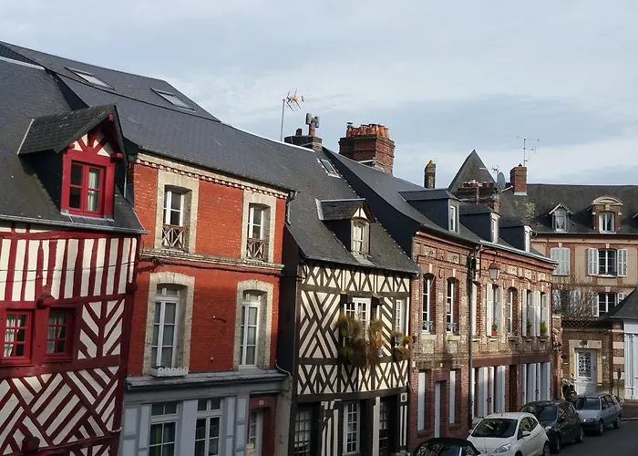 Hôtel accueillant les animaux: Le Central
