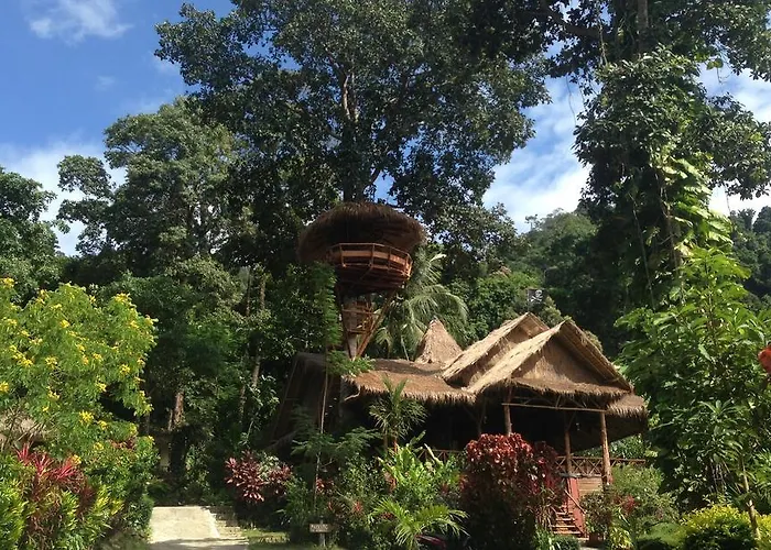 Oasis