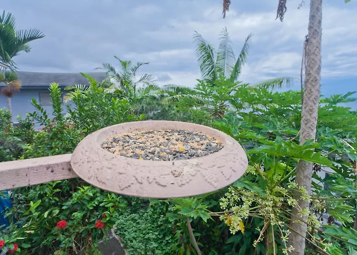 Cheap hotels Kona Hawaii Guest House A Unique Hawaii Experience