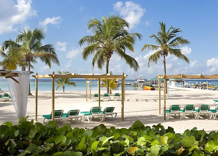 Ping Pong hotel: Hotel Whala!Boca Chica