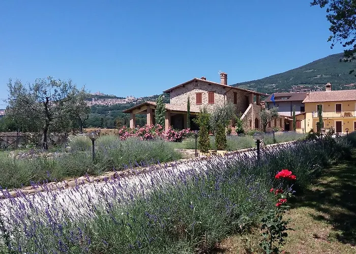 Sulla Strada Di San Francesco