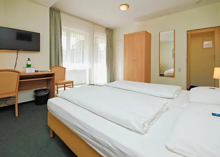 Hotel Wiking