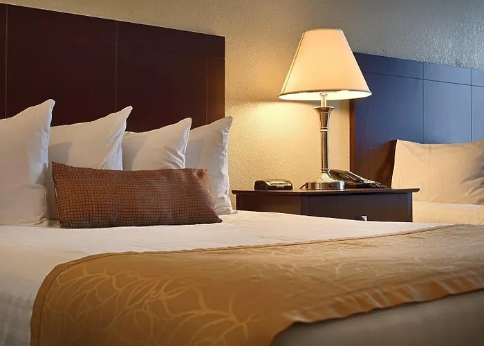 Best Western Sovereign Hotel - Albany