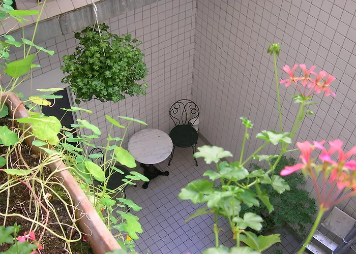 Hôtel: Hotel Darcet