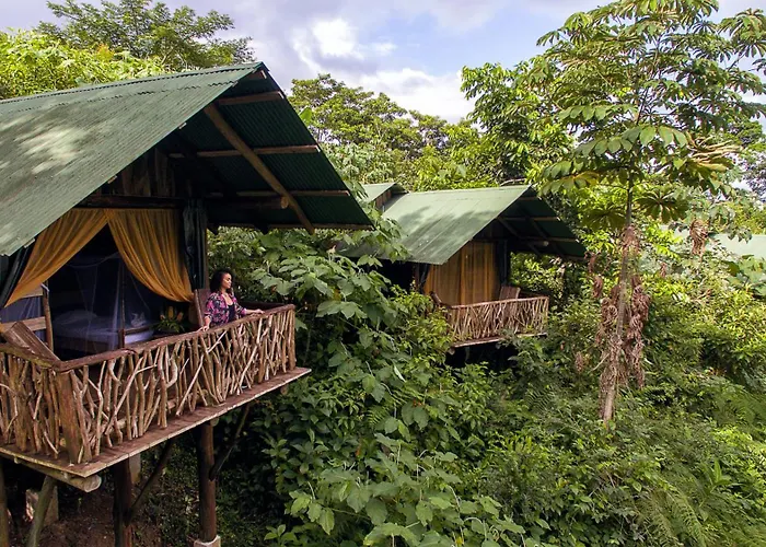La Tigra Rainforest