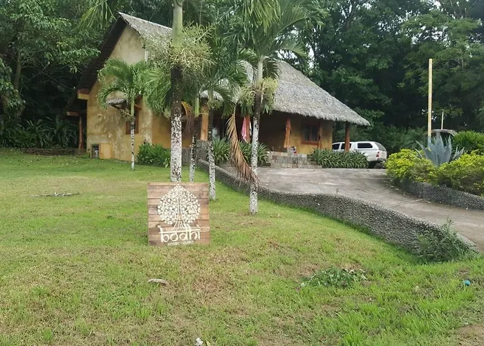 Bodhi Santa Catalina