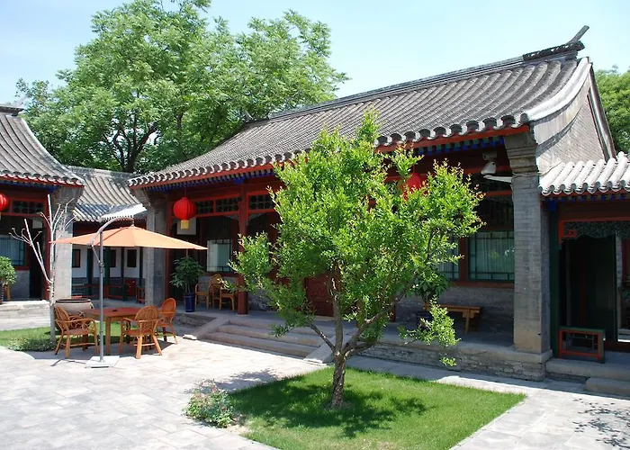 Courtyard 7