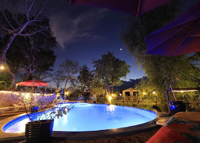 Hôtel: Discovery Island Resort