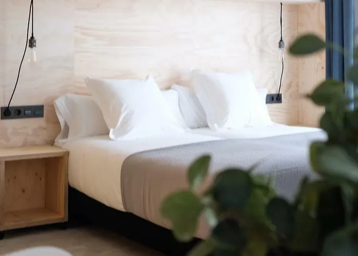 Pet Friendly hotel: Talo Urban Rooms