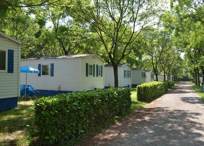 Hotel adatto agli animali: Camping Village Città di Milano