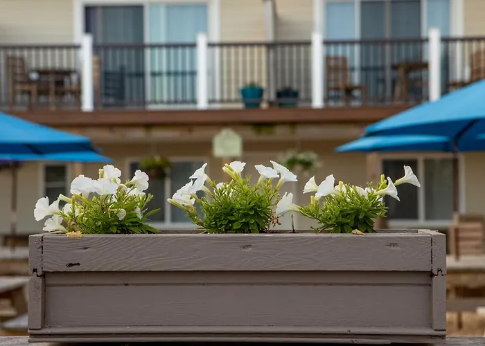 Hotel with Tennis: Aqualina Inn Montauk (Adults Only)