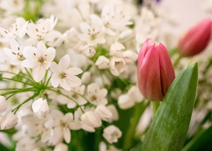 Campo Marzio Charming