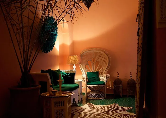 Bohemian Jungle