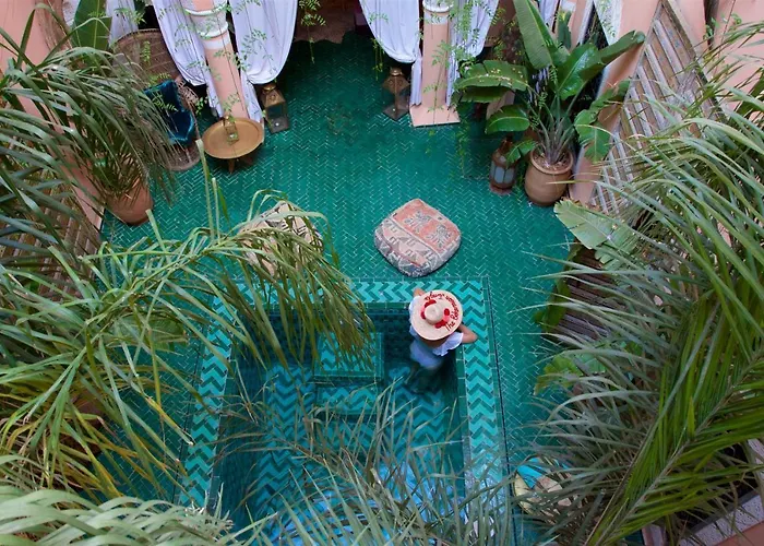 Bohemian Jungle
