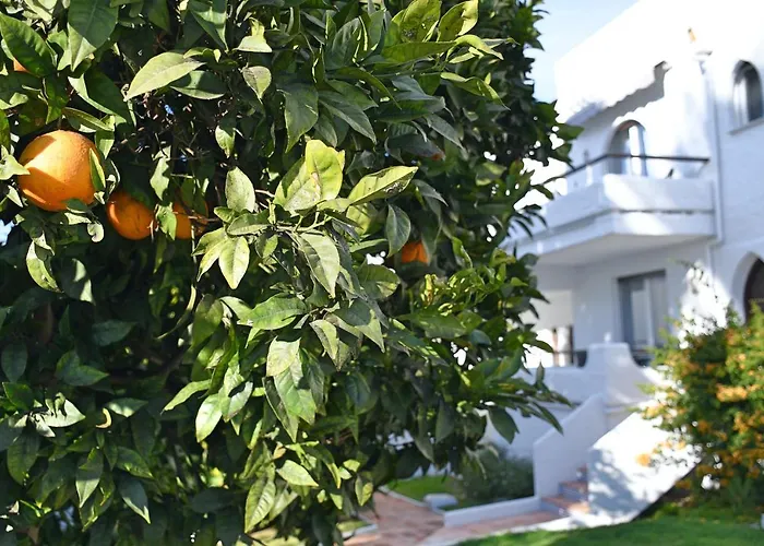 Yellow Jasper - Gemstone Getaway