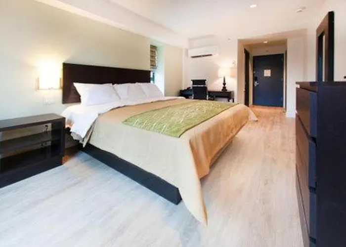 Comfort Inn & Suites - Kew Gardens Near La Guardia Airport