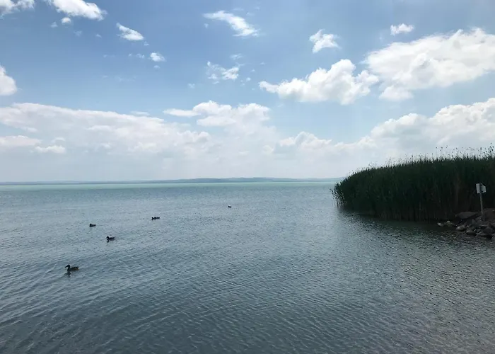 Gästehaus: Pastel Guesthouse