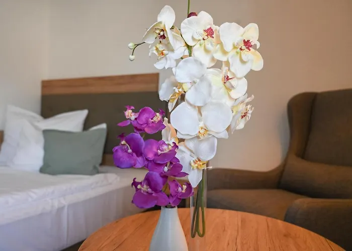 4-Sterne-Hotel: Novo Premium Hotel By As